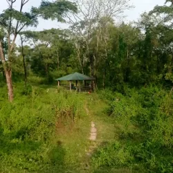 Jhapa Community Forest - Bhadrapur