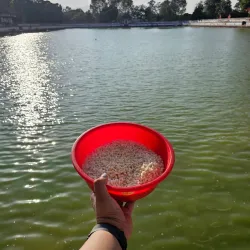 Siddha Pokhari - Bhaktapur