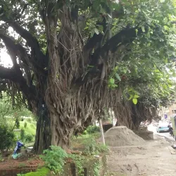 Siddha Pokhari - Bhaktapur