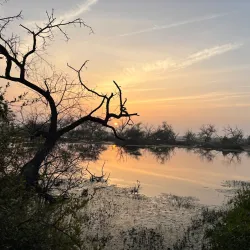 Bharatpur Bird Watching Tower - Bharatpur