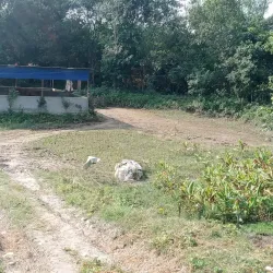 Agricultural Fields and Rural Surroundings - Bhimdatta