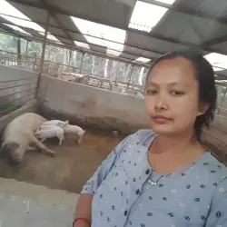 Agricultural Fields and Rural Surroundings - Bhimdatta