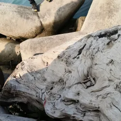 Bhimdatta Market - Bhimdatta