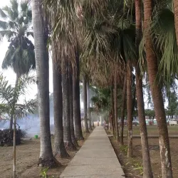 Bhimdatta Park - Bhimdatta