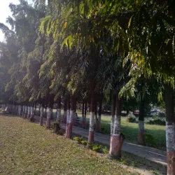Bhimdatta Park - Bhimdatta