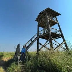 Shuklaphanta National Park - Bhimdatta