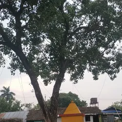 Biratnagar Jute Mill - Biratnagar