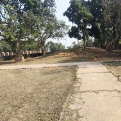 Biratnagar Museum - Biratnagar