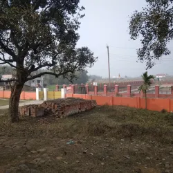 Biratnagar Museum - Biratnagar