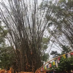 Budha Subba Temple - Biratnagar