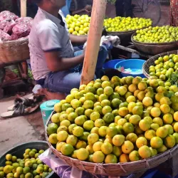 Local Markets of Biratnagar - Biratnagar