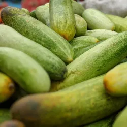 Local Markets of Biratnagar - Biratnagar