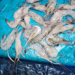 Local Markets of Biratnagar - Biratnagar