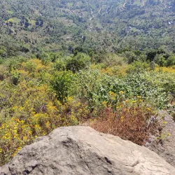 Hills Around Birendranagar - Birendranagar