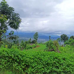 Hills Around Birendranagar - Birendranagar