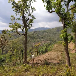Hills Around Birendranagar - Birendranagar