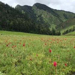 Karnali River - Birendranagar