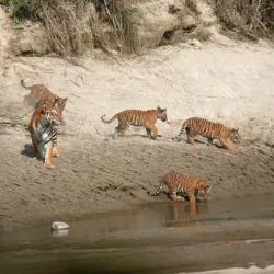 Rara National Park - Birendranagar