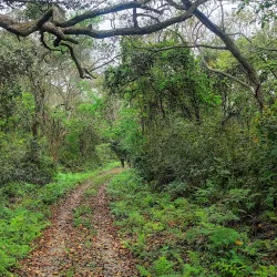 Rara National Park - Birendranagar