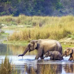 Rara National Park - Birendranagar