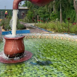 Birtamod Community Park - Birtamod