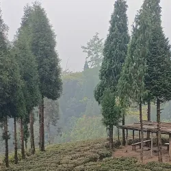Buddha Park - Birtamod