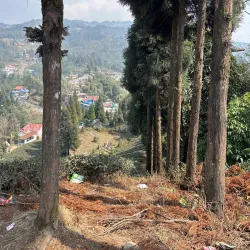 Buddha Park - Birtamod