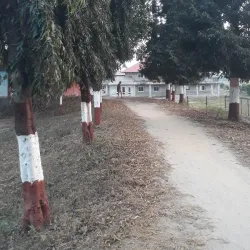 Kamal Pokhari - Birtamod