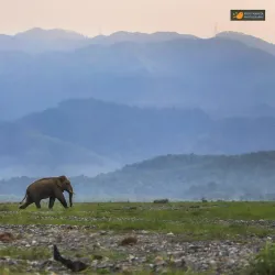 Mechi River - Birtamod