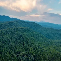 Butwal Hill Park - Butwal