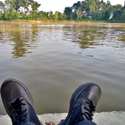 Gajedi Taal - Butwal