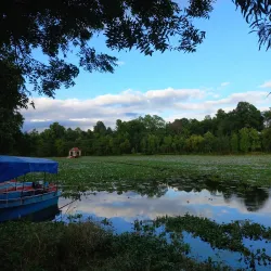 Gajedi Taal - Butwal