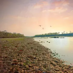 Tinau River - Butwal