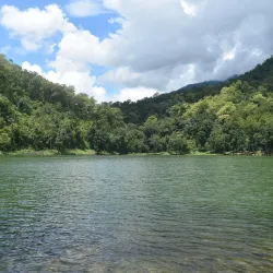 Dadeldhura Forests - Dadeldhurā