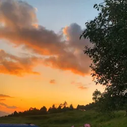 Dadeldhura Forests - Dadeldhurā