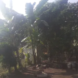 Shikharpur Temple - Dadeldhurā