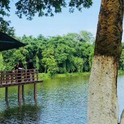 Kamal Pokhari - Damak