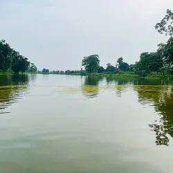 Kamal Pokhari - Damak