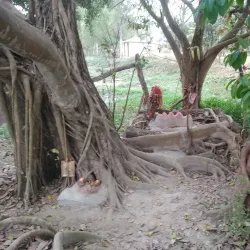 Kamal Pokhari - Damak