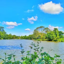 Kamal Pokhari - Damak