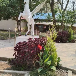 Dang District Museum - Dang