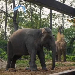 Tharu Cultural Village - Dang