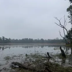 Ghodaghodi Lake - Dhangadhi