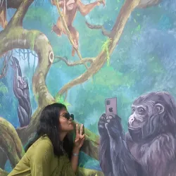 Kailali District Museum - Dhangadhi