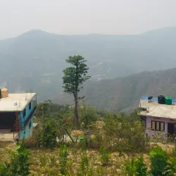 Dhankuta Bazaar - Dhankuta