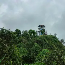 Bhedetar Hill Station - Dharan
