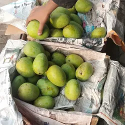 Dharan Market - Dharan