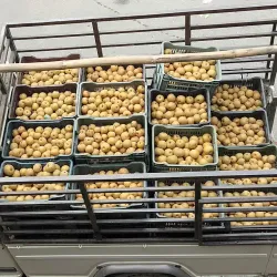 Dharan Market - Dharan