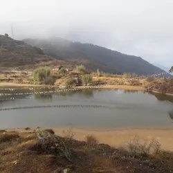 Gupha Pokhari - Dharan