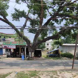 Tinjure Milke Jaljale Trail - Dharan